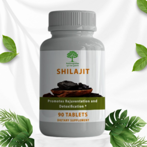 Shilajit 500 mg, 90 tablettes